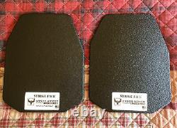 Ar500 Armed Republic Iii+lwithlh 10x12 Plaques D'armure