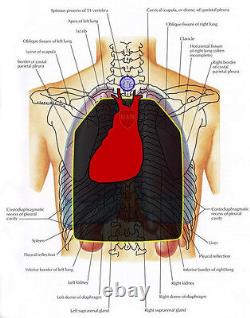 Niveau IIIA 3A Inserts d'armure corporelle Gilet pare-balles Gilet pare-balles - Noir 10x12s